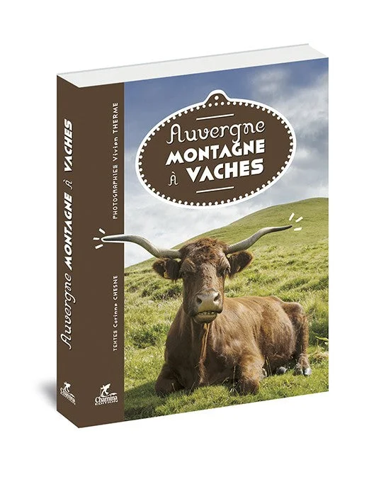 AUVERGNE MONTAGNE A VACHE — vue 1