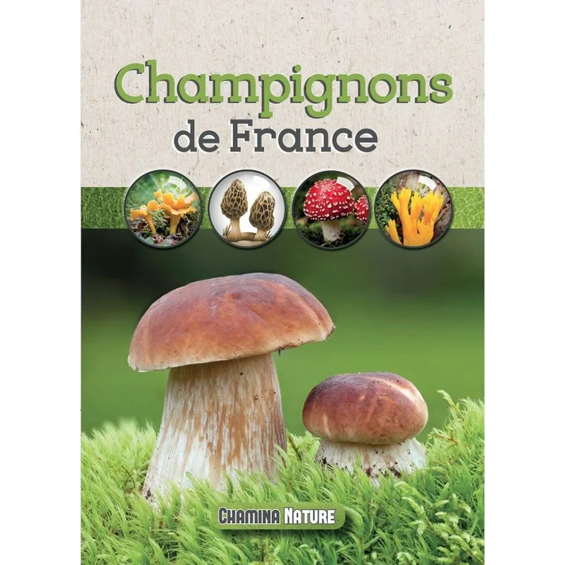 Champignons De France