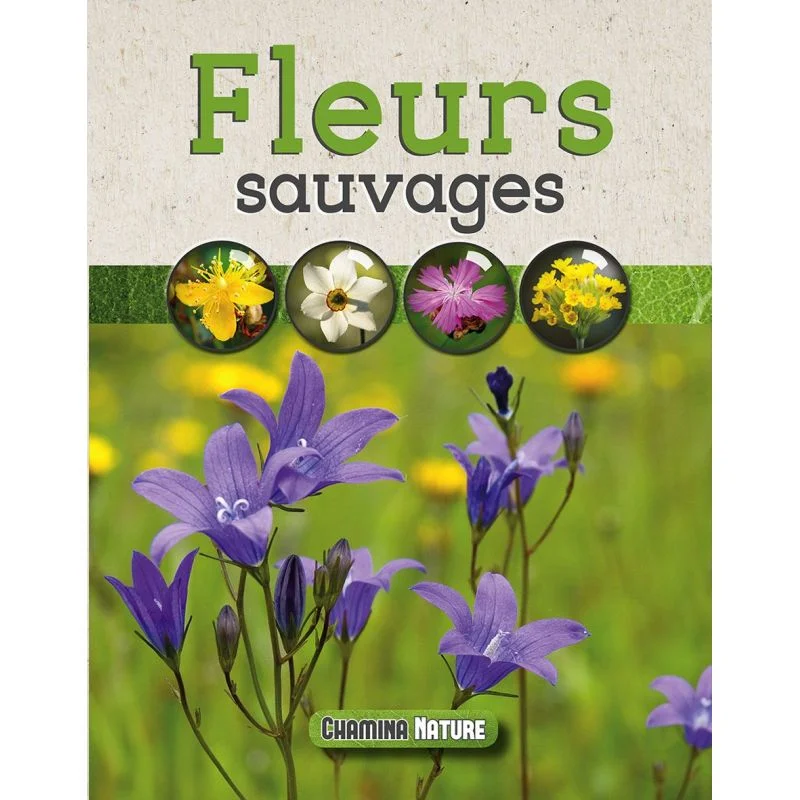 Fleurs Sauvages