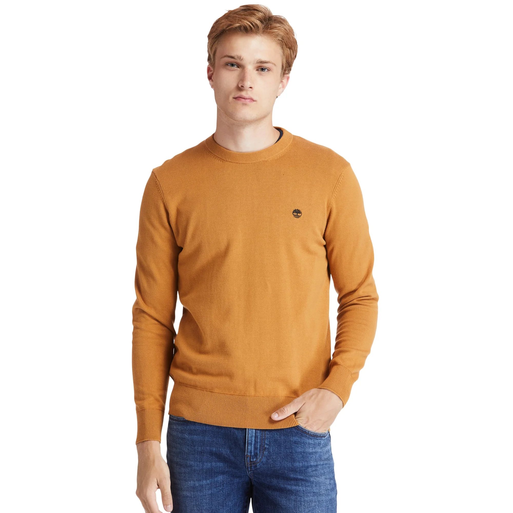 Pull coton bio col rond williams river — Black